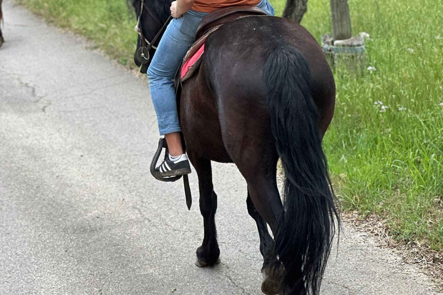 Florence: Horseback Riding & Aperitivo in the Chianti