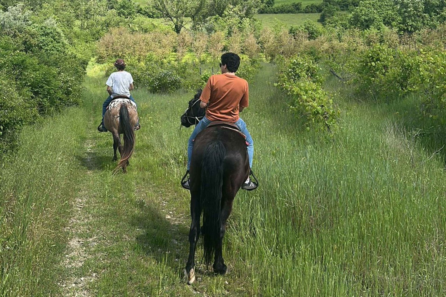 Florens: Ridning Ridning & Aperitivo i Chianti