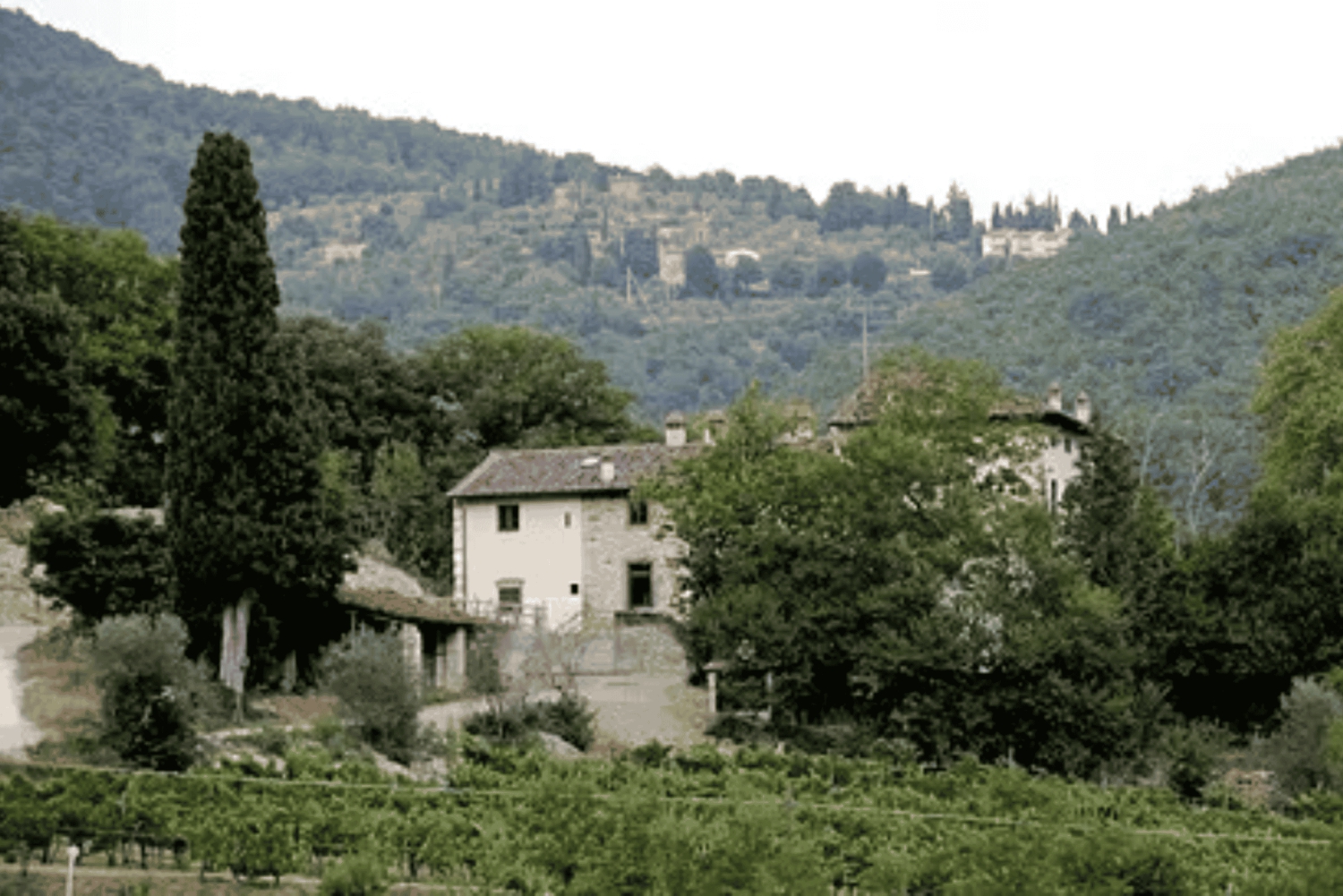 フィレンツェキャンティでの乗馬とアペリティーボ