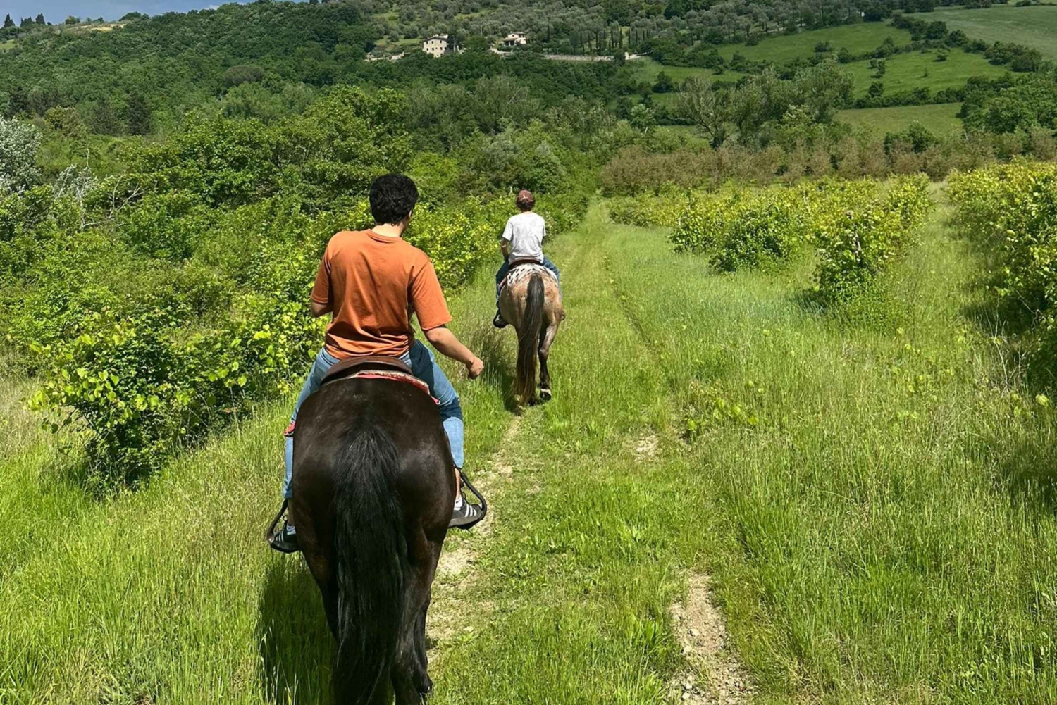 フィレンツェキャンティでの乗馬とアペリティーボ