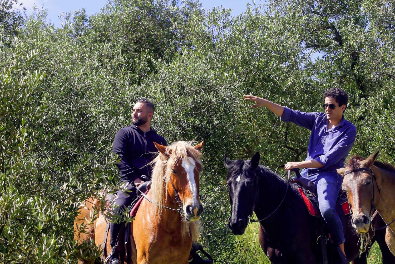 フィレンツェキャンティでの乗馬とアペリティーボ