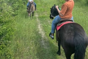 Florens: Ridning Ridning & Aperitivo i Chianti
