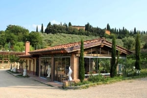 Florens: Ridning Ridning & Aperitivo i Chianti