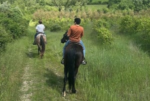 Florens: Ridning Ridning & Aperitivo i Chianti