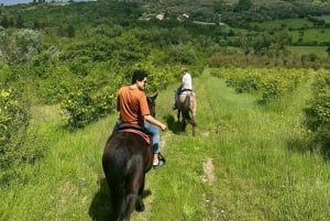Florens: Ridning Ridning & Aperitivo i Chianti
