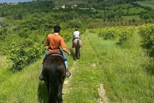 Florens: Ridning Ridning & Aperitivo i Chianti
