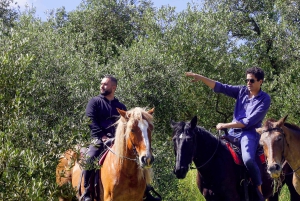 フィレンツェキャンティでの乗馬とアペリティーボ