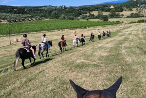 Florencia: Excursión a Caballo con Cata de Vinos y Traslado