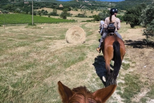 Florencia: Excursión a Caballo con Cata de Vinos y Traslado