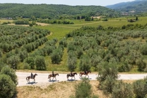 Firenze: Ratsastusretki viininmaisteluineen & kuljetus