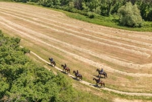 Firenze: Ratsastusretki viininmaisteluineen & kuljetus