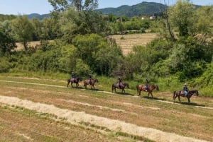 Firenze: Ratsastusretki viininmaisteluineen & kuljetus