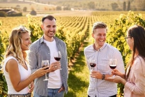 Florence: Paardrijden, wijnproeven & kookles