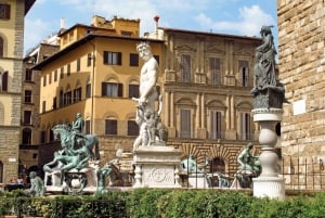 Florence in 1 dag: Renaissance Tour vanuit Rome