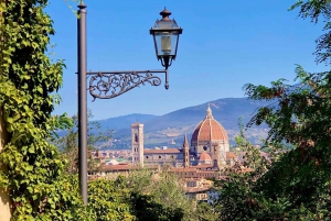 Florence in one day : Uffizi Gallery-City walk-David