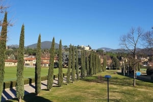 Florence: Italian Football Museum Guided Tour