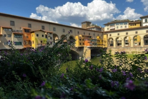 Firenze Panoramica – Kunst, Videnskab og Natur