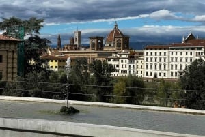 Firenze Panoramica – Kunst, Videnskab og Natur