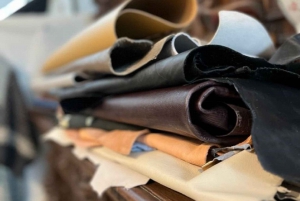 Firenze Panoramica – Kunst, Videnskab og Natur