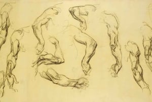 Florence: Leonardo Drawings