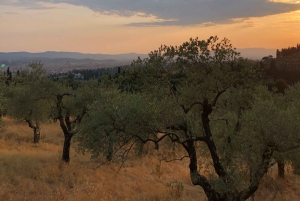 Florence: Local Hiking Tour with Wine and Lunch