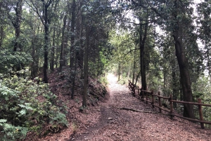 Florence: Local Hiking Tour with Wine and Lunch