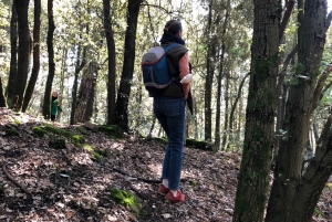 Florence: Local Hiking Tour with Wine and Lunch