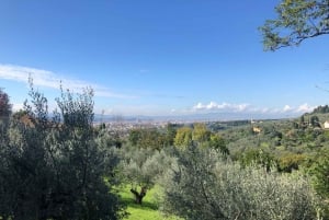 Florença: Caminhada local com vinho e almoço