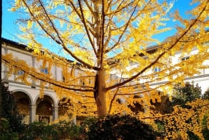 Firenze: Medici og Michelangelo - byvandring med en lille gruppe