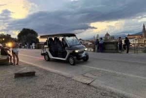 Florence : visite panoramique de la colline de Michel-Ange avec dégustation