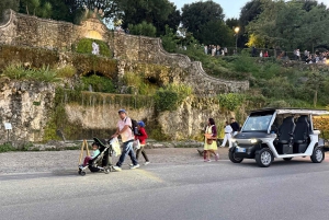 Florence : visite panoramique de la colline de Michel-Ange avec dégustation