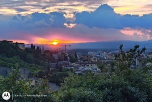 Florence : visite panoramique de la colline de Michel-Ange avec dégustation