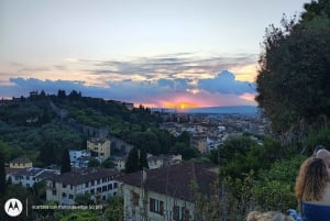 Florence : visite panoramique de la colline de Michel-Ange avec dégustation