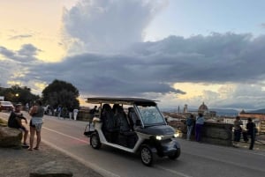 Florence : visite panoramique de la colline de Michel-Ange avec dégustation