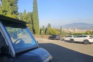 Florence : visite panoramique de la colline de Michel-Ange avec dégustation