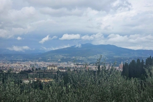 Florence : visite panoramique de la colline de Michel-Ange avec dégustation