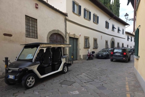 Florence : visite panoramique de la colline de Michel-Ange avec dégustation