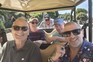 Florence : visite panoramique de la colline de Michel-Ange avec dégustation