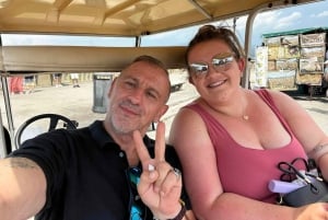 Florence : visite panoramique de la colline de Michel-Ange avec dégustation