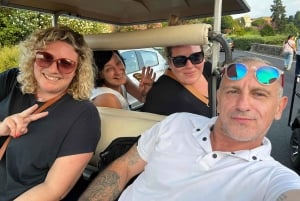 Florence : visite panoramique de la colline de Michel-Ange avec dégustation