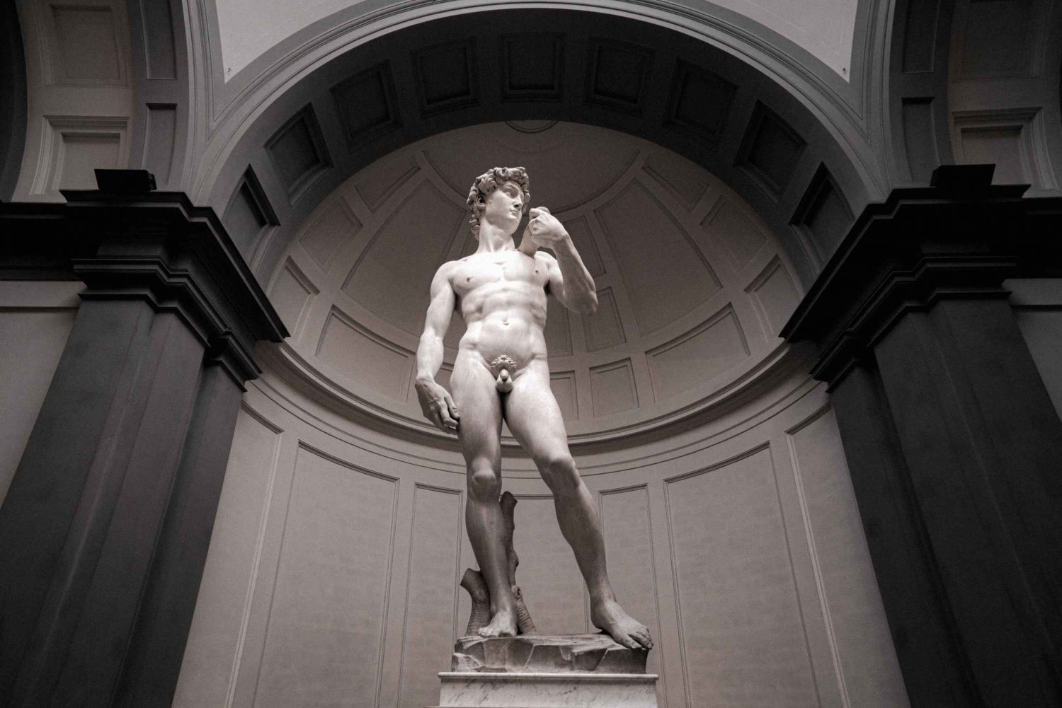 Firenze: Michelangelon Daavidin Accademia opastettu kierros.