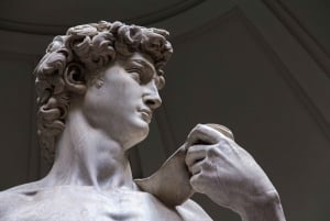 Florenz: Michelangelos David in der Accademia mit Führung