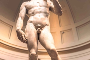Firenze: Michelangelos David Indgangsbillet og lydapp