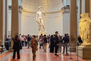 Firenze: Michelangelos David Indgangsbillet og lydapp