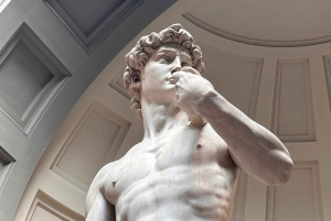 Firenze: Michelangelos David Indgangsbillet og lydapp