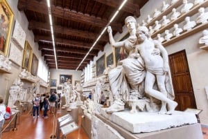 Firenze: Michelangelos David Prioritetsbillett og lydapplikasjon