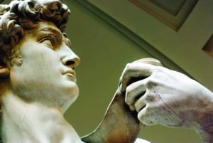 Firenze: Michelangelos David Prioritetsbillett og lydapplikasjon