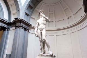 Firenze: Michelangelos David Priority Ticket & Audio App