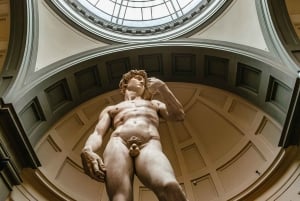 Firenze: Michelangelon Daavid Skip-the-Line pääsylipun.