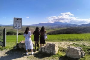 Firenze: Montalcino, Montepulciano e Val d'Orcia con pranzo